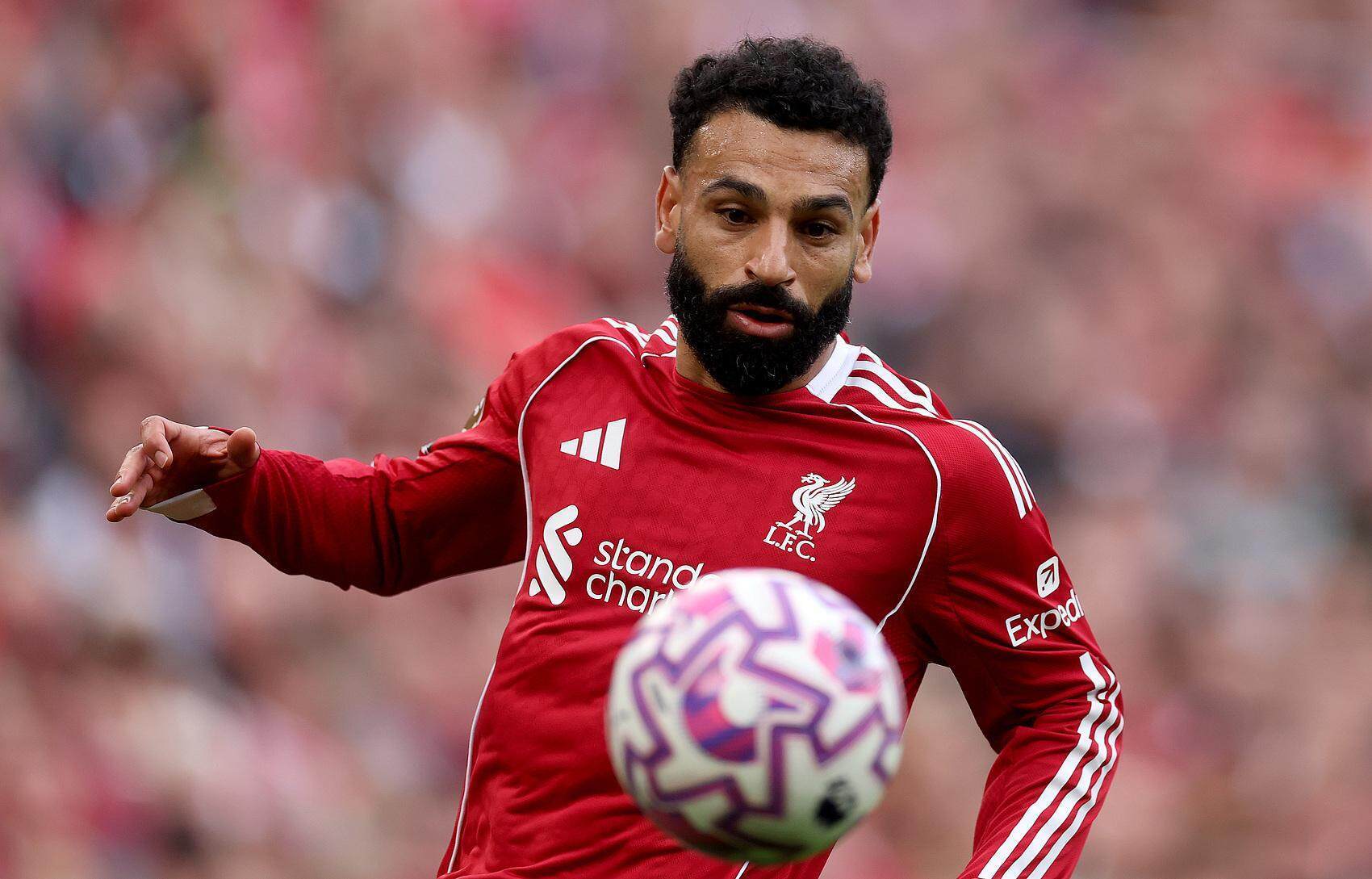 重磅！萨克拉门托国王临场应变备战足总杯风云突变塞维利亚转会期刷新队史纪录，集结日布莱顿备战欧联的简单介绍